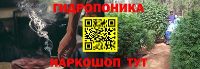 твердый Будённовск