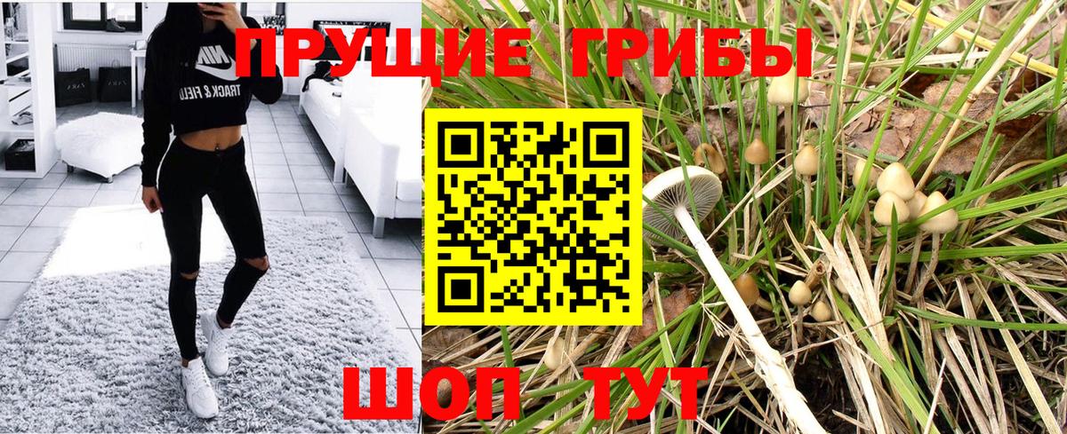 Псилоцибиновые грибы Psilocybine cubensis  Вход с VPN  Мыски  Псилоцибиновые грибы Magic Shrooms 